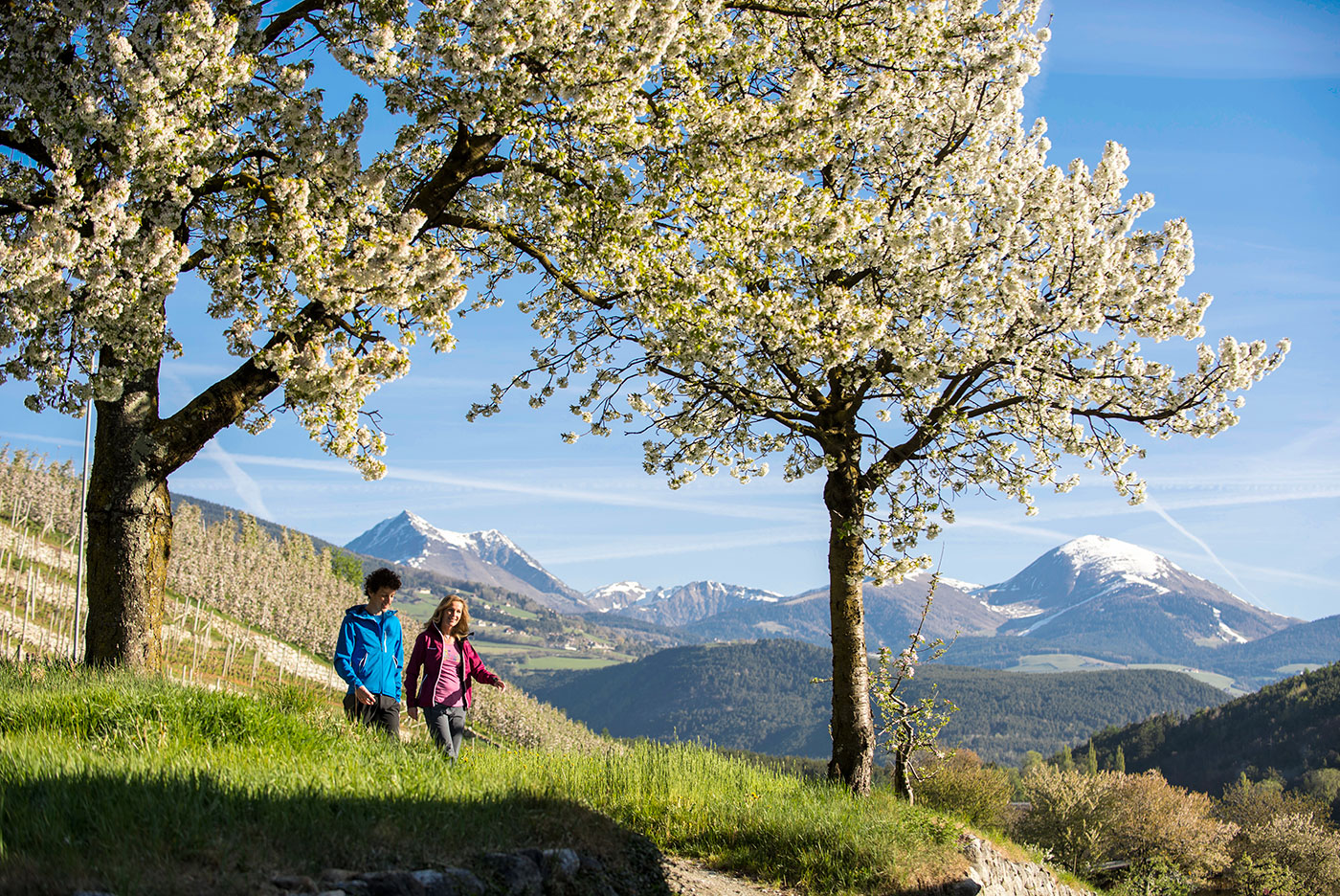 Aktivurlaub Brixen Plose 04