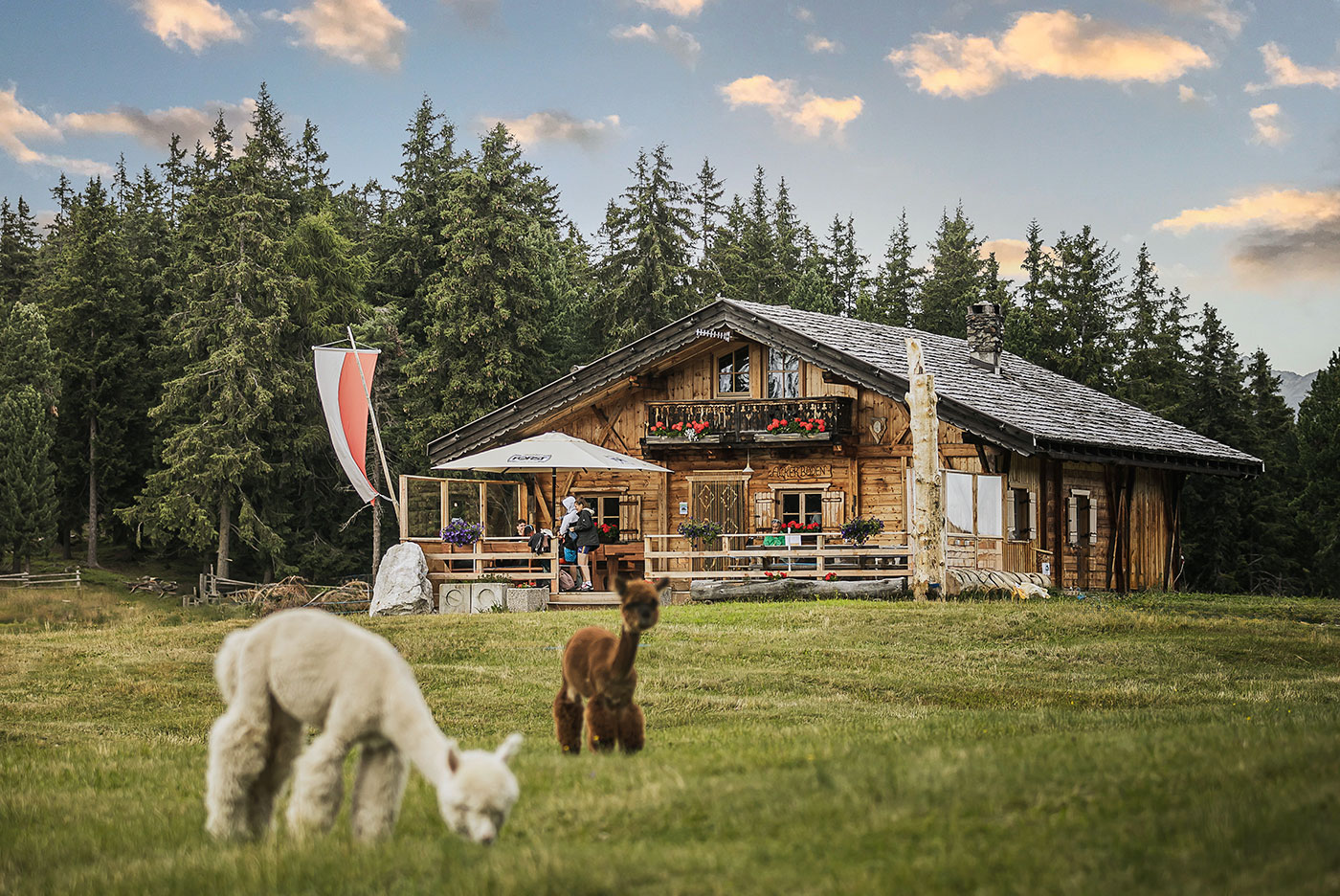 Aktivurlaub Brixen Plose 06