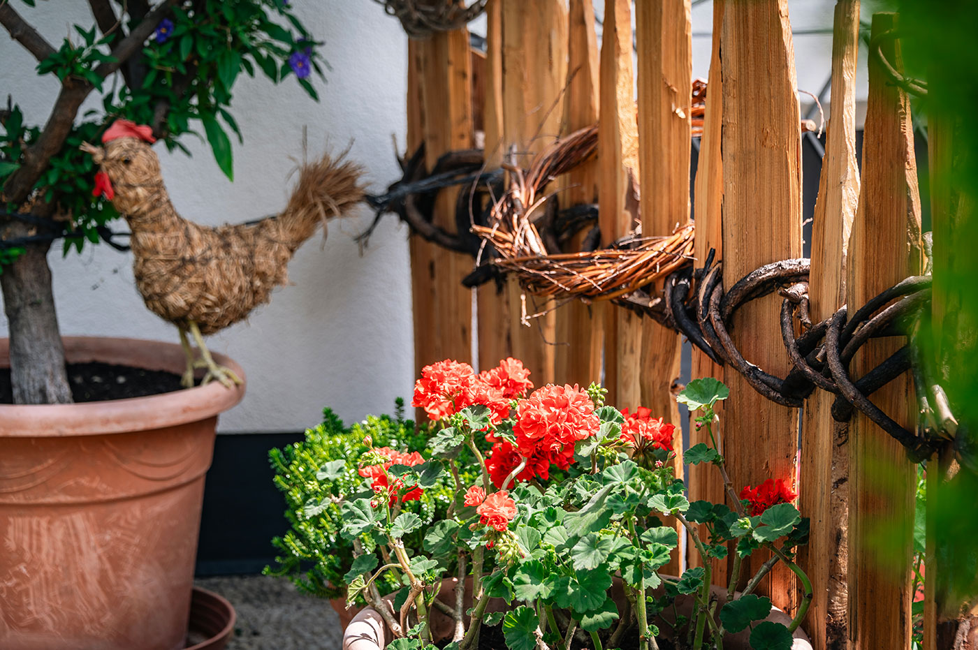 Hoermannhof Bauernhof Brixen Plose 01